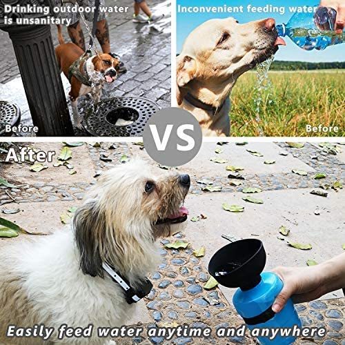 HydrPup Foldable Travel Bottle