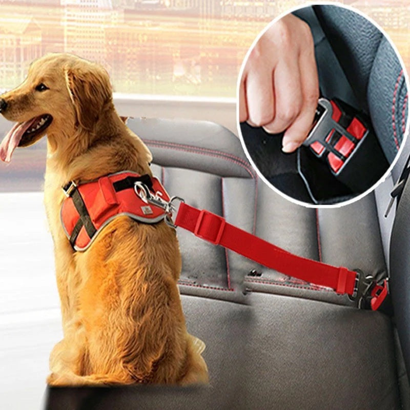 Adjustable Pet Car Seat Belt – Keep Them Safe on Every Drive