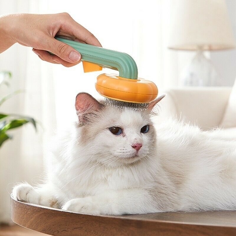 PumpkinPop Self-Cleaning Brush