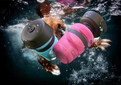HydrPup Foldable Travel Bottle