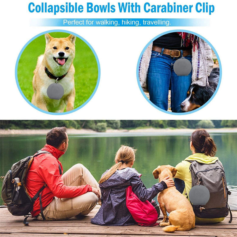 Foldable Double Travel Bowl