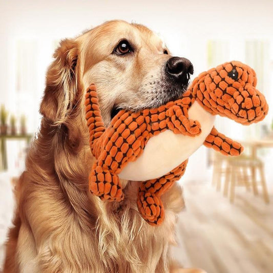 5 Signs Your Pet Is Happier Than Ever
