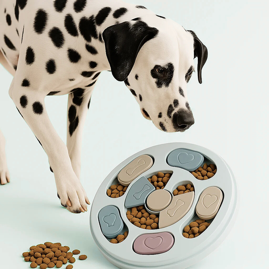 Routine Pet Life