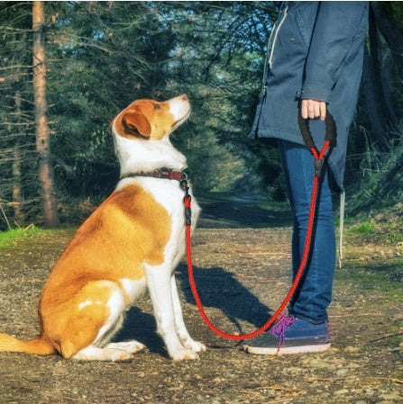 Reflective Dog Leash – Everyday Comfort, Nighttime Safety