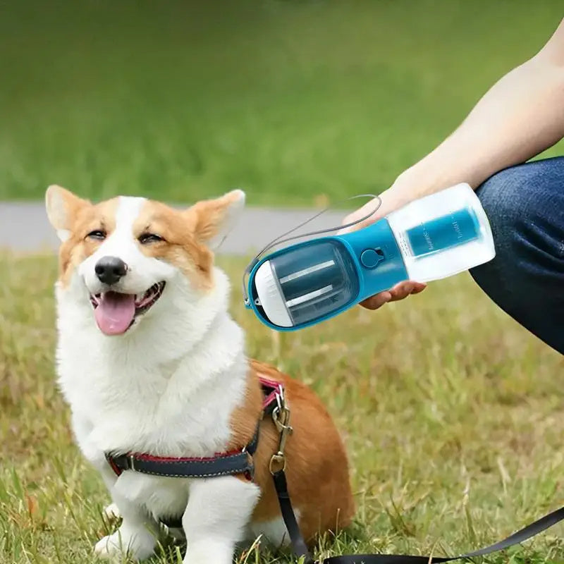 SipNGo 3-in-1 Travel Cup