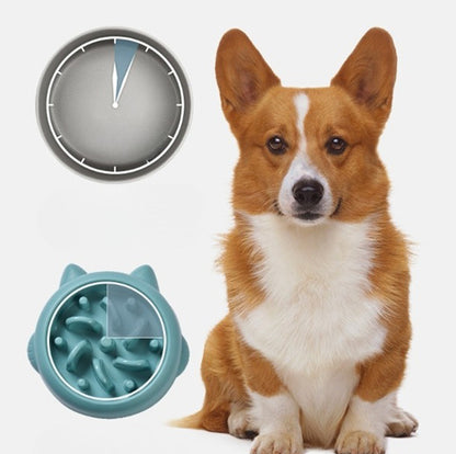 Anti-Gulping Slow Feeder Bowl for Dogs & Cats