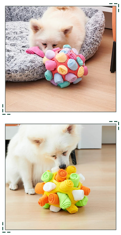 Sniffing Puzzle Interactive Toy