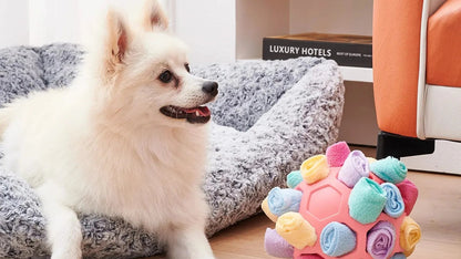 Sniffing Puzzle Interactive Toy